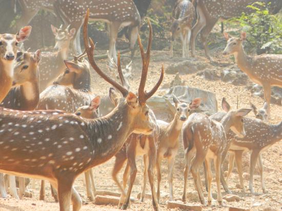 Ballavpur Wildlife Sanctuary