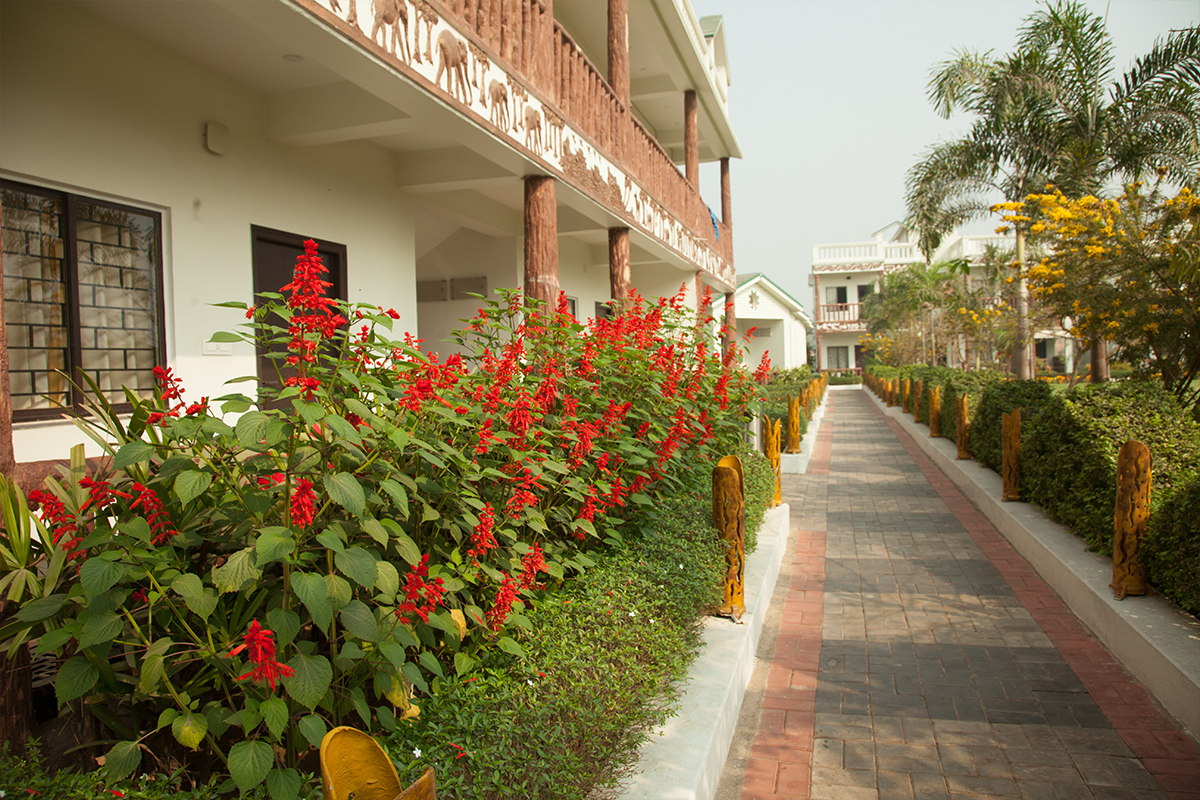 Mohor Kutir garden