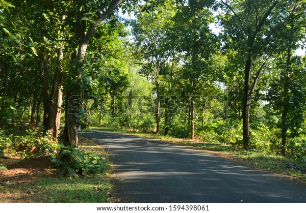   Illambazar Forest